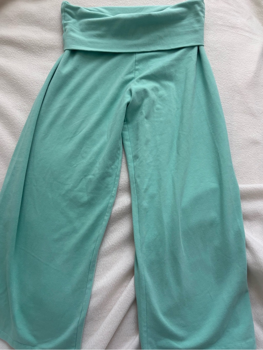 Brand Melville Teal Seafoam Capri Pants
